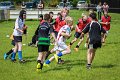 Monaghan Rugby Summer Camp 2015 (19 of 75)